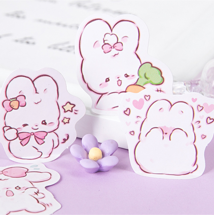 45 pcs/box Cute rabbit daily K - Planned Parenthood recension och pris