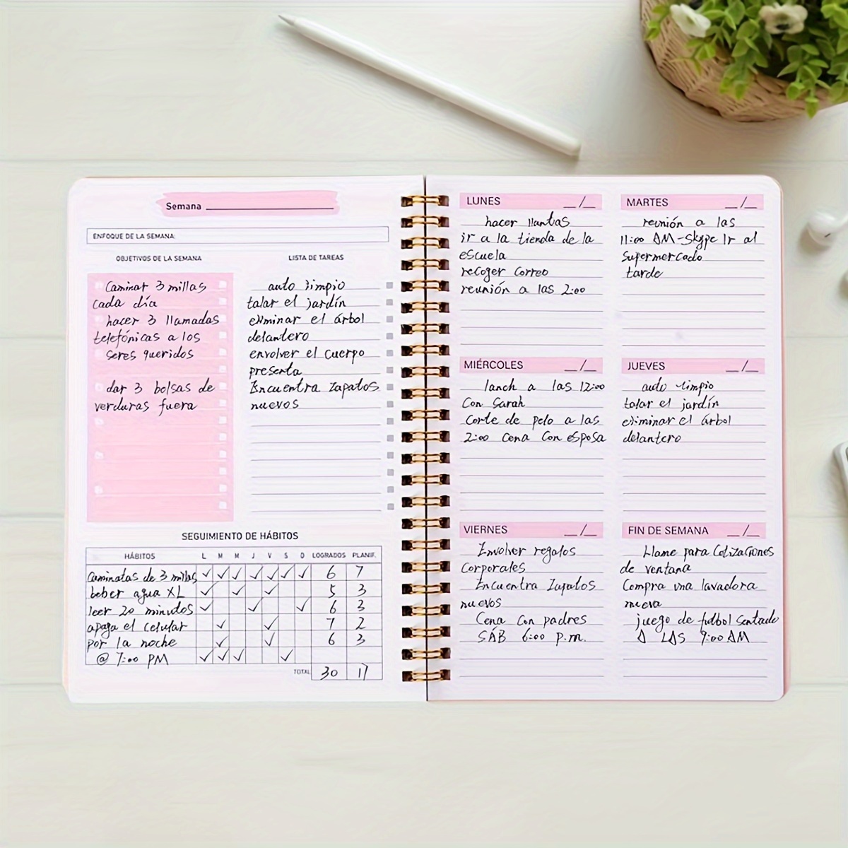 52 Week English Weekly Planner - Planned Parenthood recension och pris